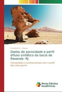 bokomslag Dados de porosidade e perfil difuso sinttico da bacia de Resende -RJ