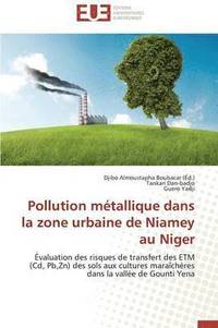bokomslag Pollution M tallique Dans La Zone Urbaine de Niamey Au Niger