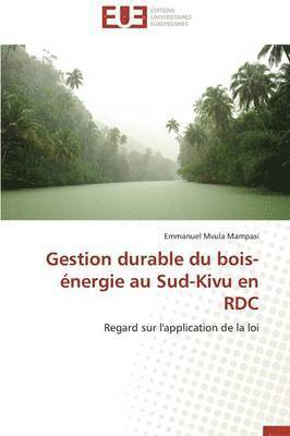 Mampasi-E, MAMPASI-E, Emmanuel Mvula Mampasi - Gestion Durable Du Bois-�nergie Au Sud-Kivu En Rdc, Häftad