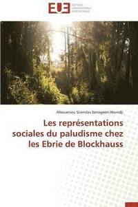 bokomslag Les Repr sentations Sociales Du Paludisme Chez Les Ebrie de Blockhauss