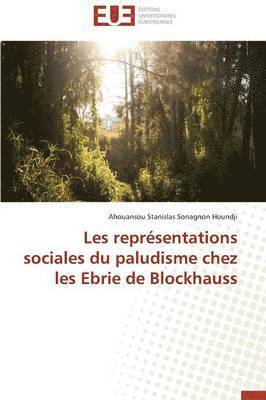 bokomslag Les Repr?sentations Sociales Du Paludisme Chez Les Ebrie de Blockhauss