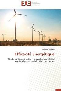 bokomslag Efficacit  Energ tique