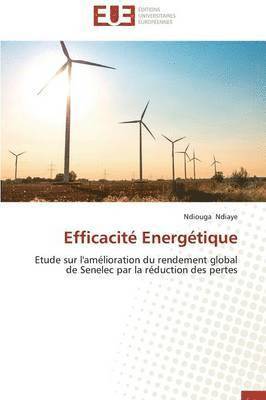 Efficacit  Energ tique 1