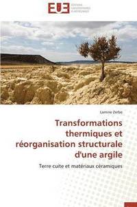 bokomslag Transformations Thermiques Et R organisation Structurale d'Une Argile