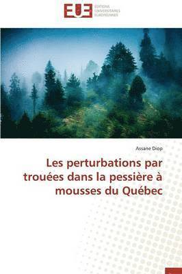 Les Perturbations Par Trou es Dans La Pessi re   Mousses Du Qu bec 1