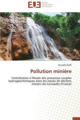 bokomslag Pollution Mini?re