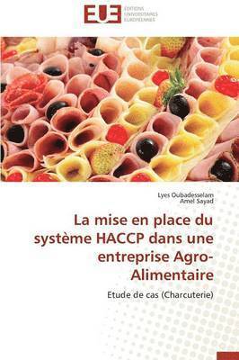 bokomslag La Mise En Place Du Syst me Haccp Dans Une Entreprise Agro-Alimentaire