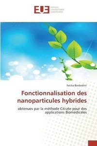 bokomslag Fonctionnalisation des nanoparticules hybrides