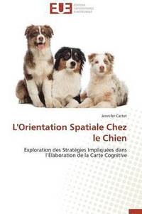 bokomslag L'Orientation Spatiale Chez Le Chien
