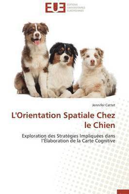 bokomslag L'Orientation Spatiale Chez Le Chien