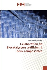 bokomslag L'laboration de Biocatalyseurs artificiels  deux composantes