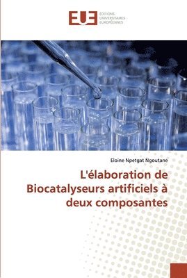L'laboration de Biocatalyseurs artificiels  deux composantes 1