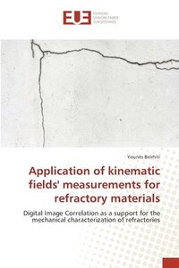 bokomslag Application of kinematic fields' measurements for refractory materials