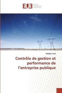 bokomslag Controle de gestion et performance de l entreprise publique