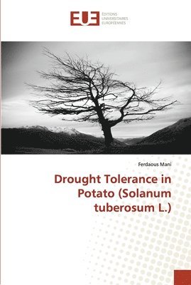 Drought tolerance in potato (solanum tuberosum l.) 1