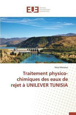 bokomslag Traitement Physico-Chimiques Des Eaux de Rejet ? Unilever Tunisia