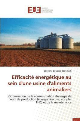 Efficacit   nerg tique Au Sein d'Une Usine d'Aliments Animaliers 1