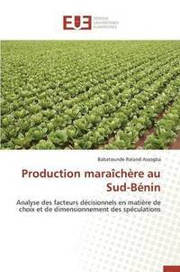 bokomslag Production Maraîchère Au Sud-Bénin