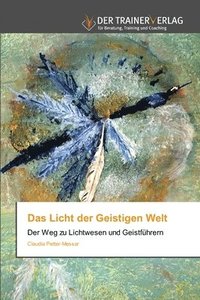 bokomslag Das Licht der Geistigen Welt