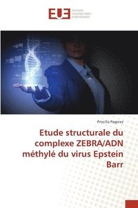 bokomslag Etude structurale du complexe ZEBRA/ADN mthyl du virus Epstein Barr