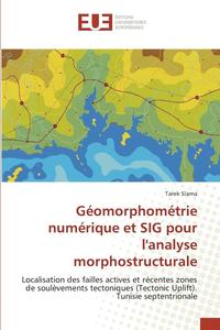 bokomslag Geomorphometrie Numerique Et Sig Pour Lanalyse Morphostructurale
