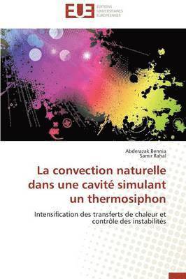 La Convection Naturelle Dans Une Cavit  Simulant Un Thermosiphon 1