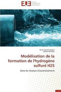 bokomslag Mod?lisation de la Formation de l'Hydrog?ne Sulfur? H2s