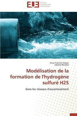 bokomslag Mod lisation de la Formation de l'Hydrog ne Sulfur  H2s