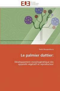 bokomslag Le Palmier Dattier