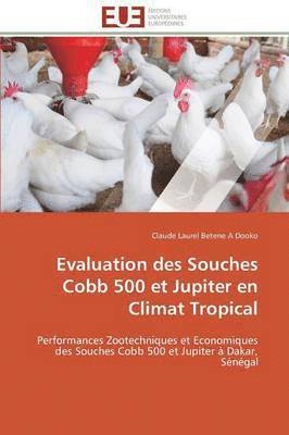 bokomslag Evaluation Des Souches Cobb 500 Et Jupiter En Climat Tropical