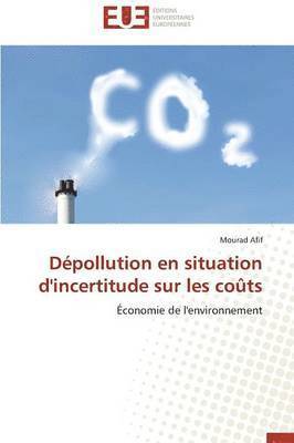 bokomslag D?pollution En Situation d'Incertitude Sur Les Co?ts
