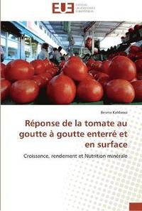 bokomslag Reponse de la tomate au goutte a goutte enterre et en surface