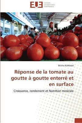 Reponse de la tomate au goutte a goutte enterre et en surface 1