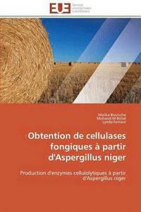 bokomslag Obtention de Cellulases Fongiques ? Partir d'Aspergillus Niger