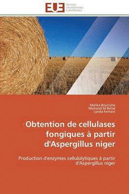bokomslag Obtention de Cellulases Fongiques ? Partir d'Aspergillus Niger