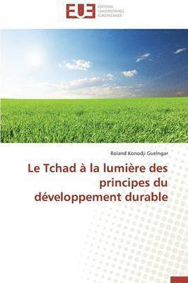 bokomslag Le Tchad ? La Lumi?re Des Principes Du D?veloppement Durable