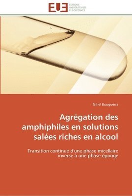 bokomslag Agrégation des amphiphiles en solutions salées riches en alcool