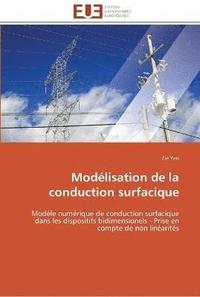 bokomslag Modélisation de la conduction surfacique