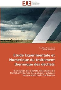 bokomslag Etude experimentale et numerique du traitement thermique des dechets