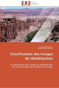 bokomslag Classification des images de télédétection