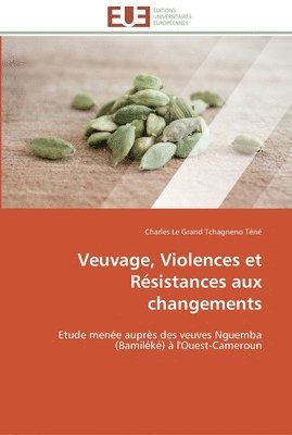 bokomslag Veuvage, violences et resistances aux changements