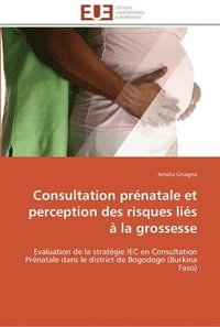 bokomslag Consultation prénatale et perception des risques liés à la grossesse