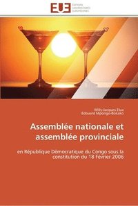 bokomslag Assemblee nationale et assemblee provinciale