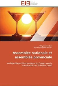 bokomslag Assemblée nationale et assemblée provinciale