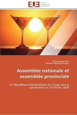 bokomslag Assemblée nationale et assemblée provinciale