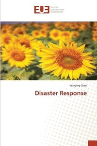 bokomslag Disaster Response