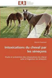 bokomslag Intoxications Du Cheval Par Les Séneçons