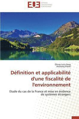 bokomslag D finition Et Applicabilit  d'Une Fiscalit  de l'Environnement