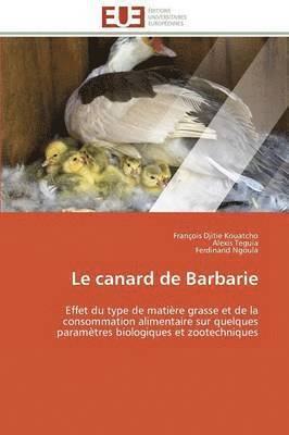 Le Canard de Barbarie 1