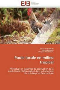 bokomslag Poule Locale En Milieu Tropical